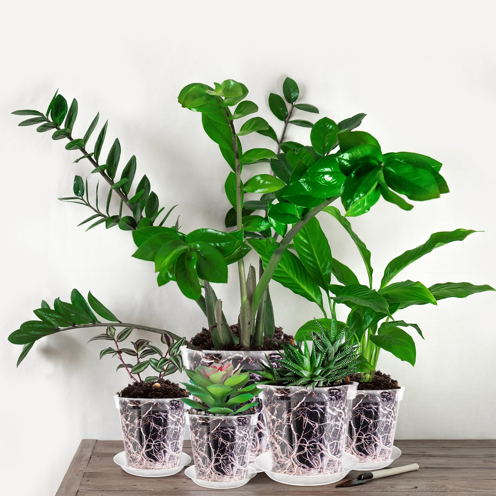Vesici pots on windowsill demonstrating decorative indoor display benefit