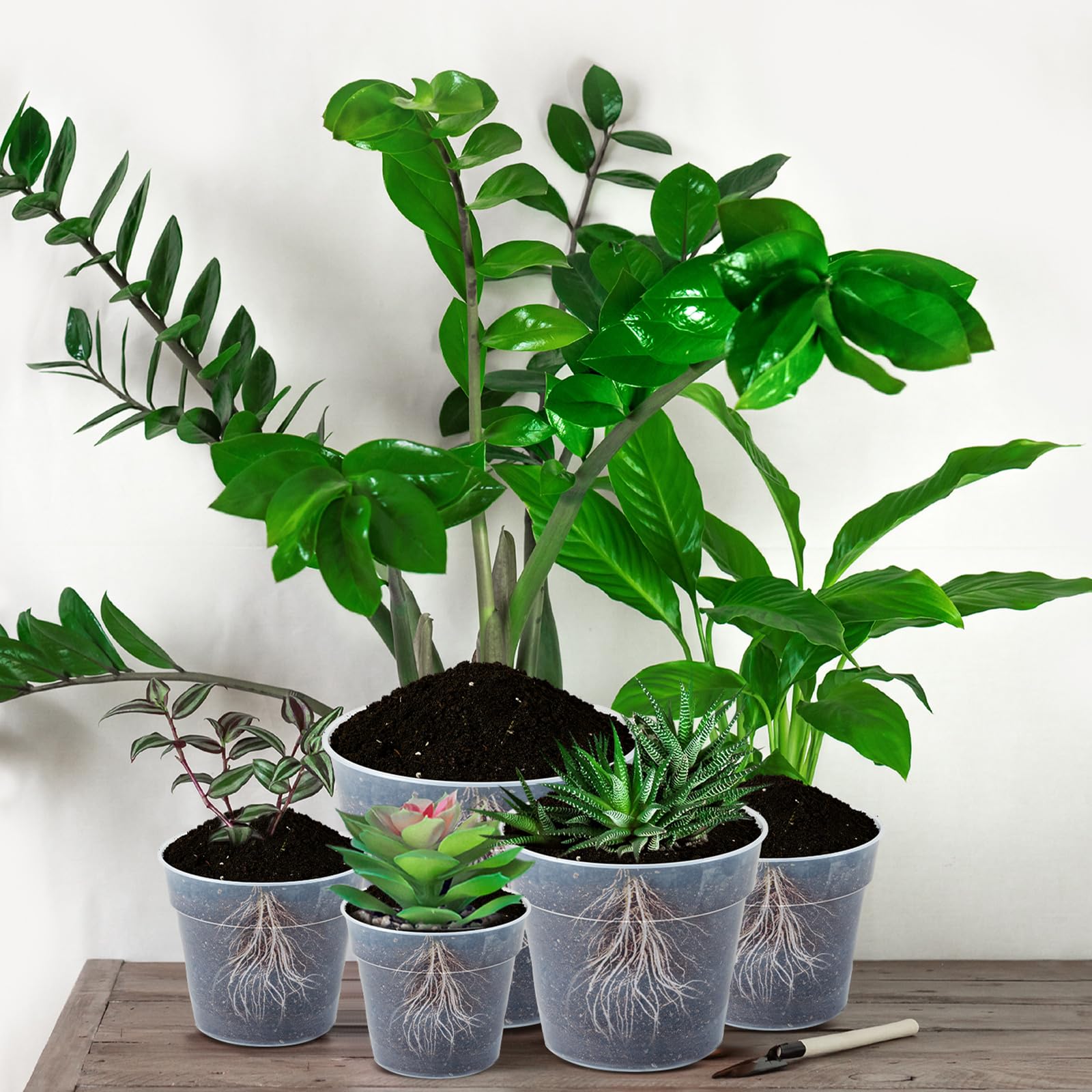 Vesici group of pots with seedlings in sunlight showing growth monitoring benefit