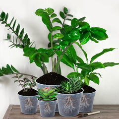 Vesici group of pots with seedlings in sunlight showing growth monitoring benefit