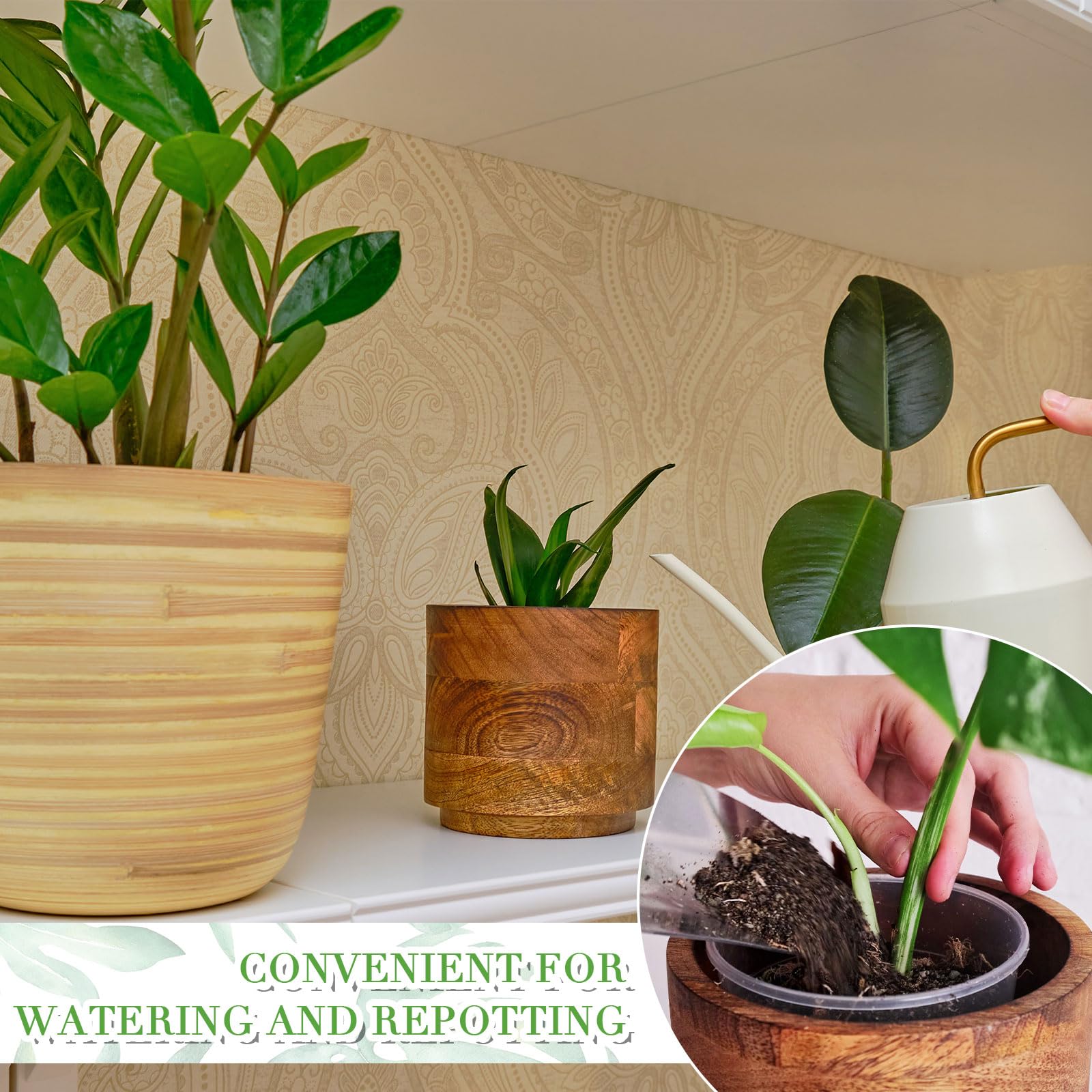 Vesici pot next to hand and ruler, showing scale and easy sizing choice benefit