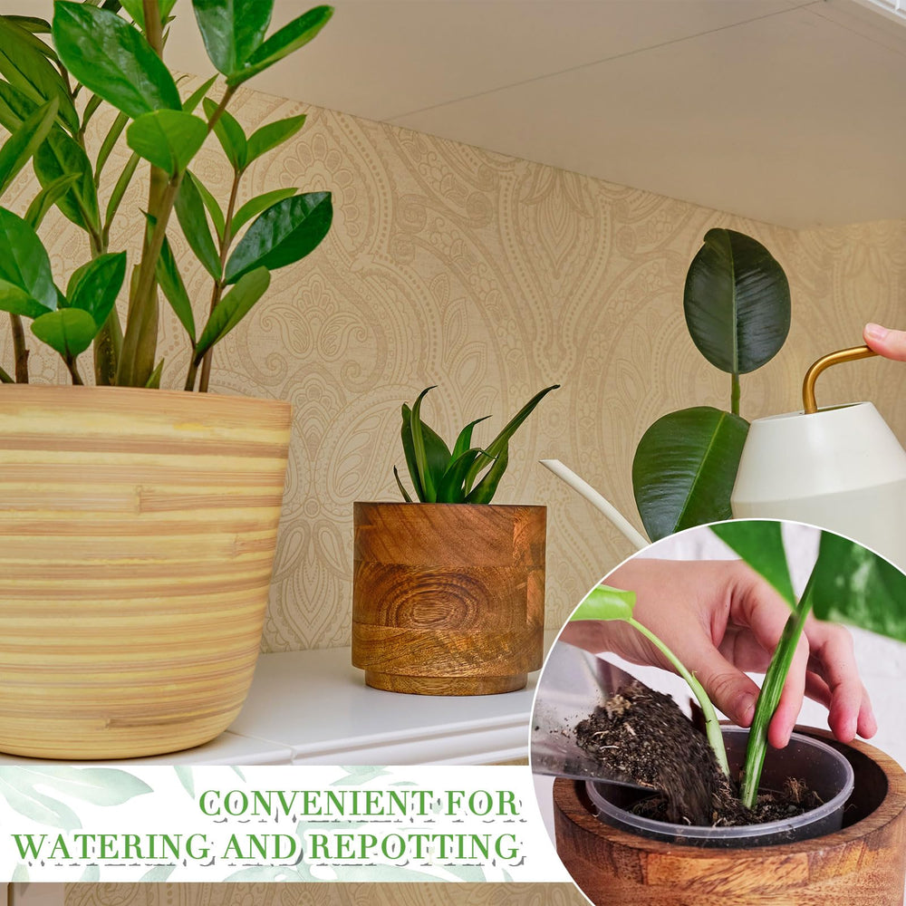 Vesici pot next to hand and ruler, showing scale and easy sizing choice benefit