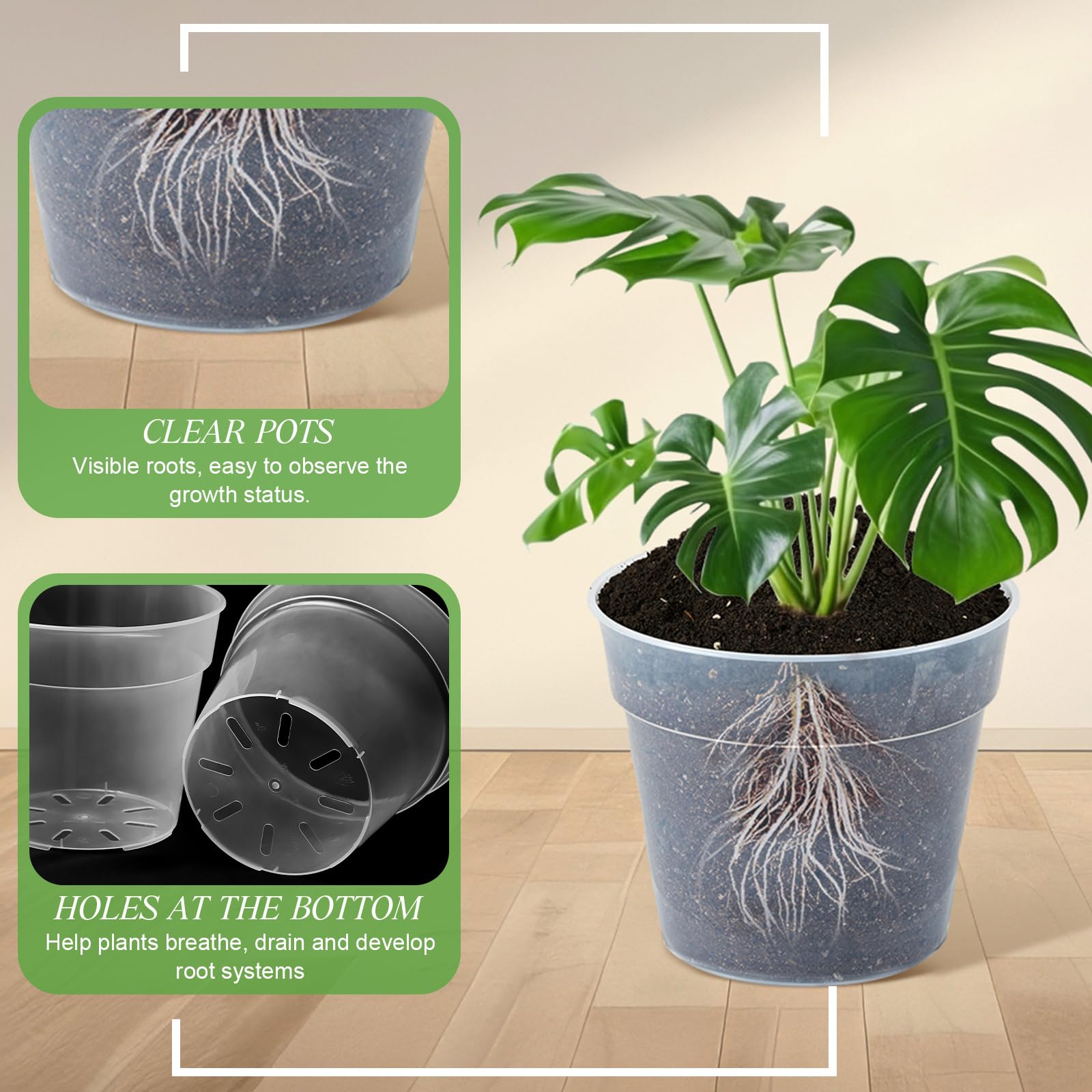 Vesici lineup showing scale comparison of all pot diameters for easy size selection