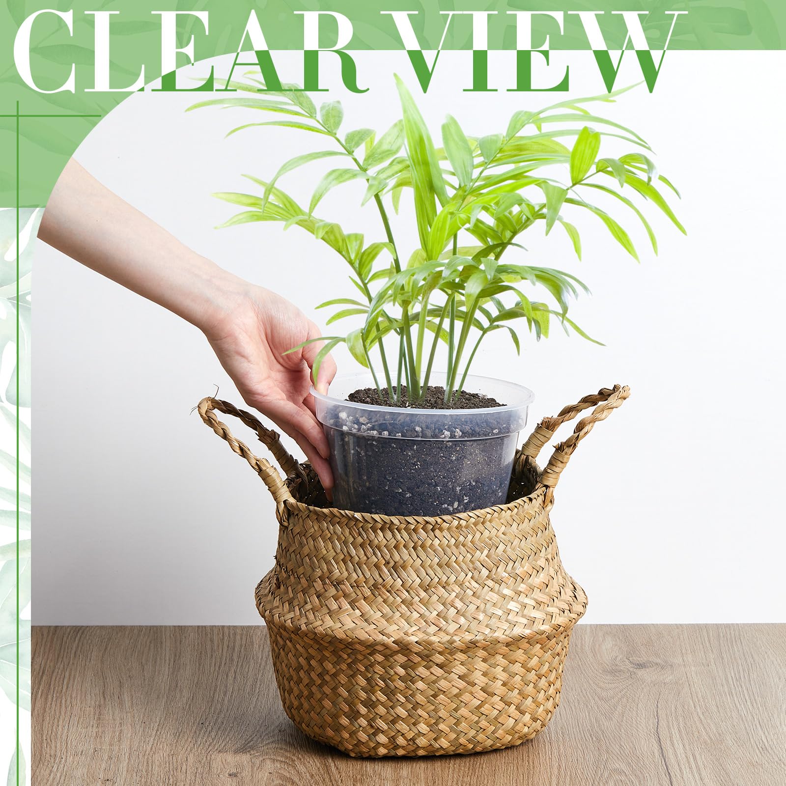 Vesici three-size comparison illustrating which plants fit each pot