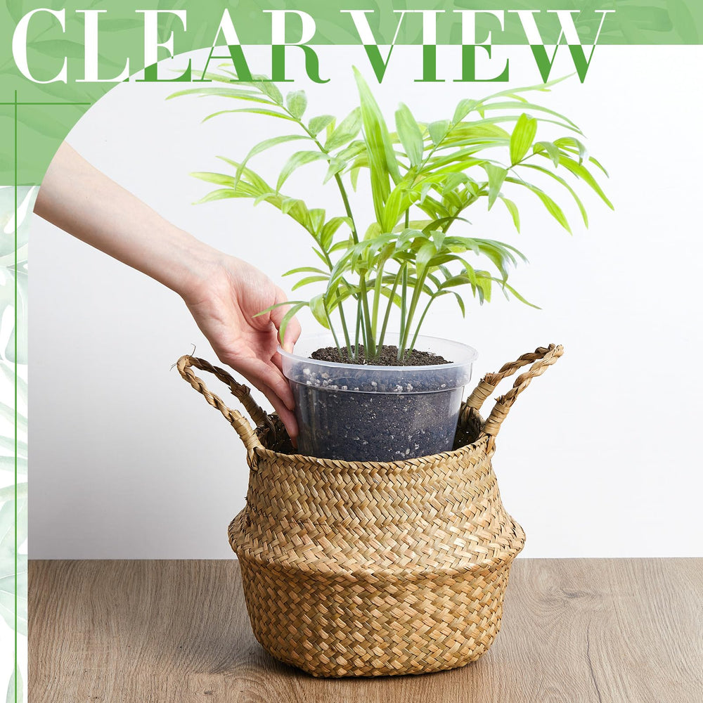Vesici three-size comparison illustrating which plants fit each pot