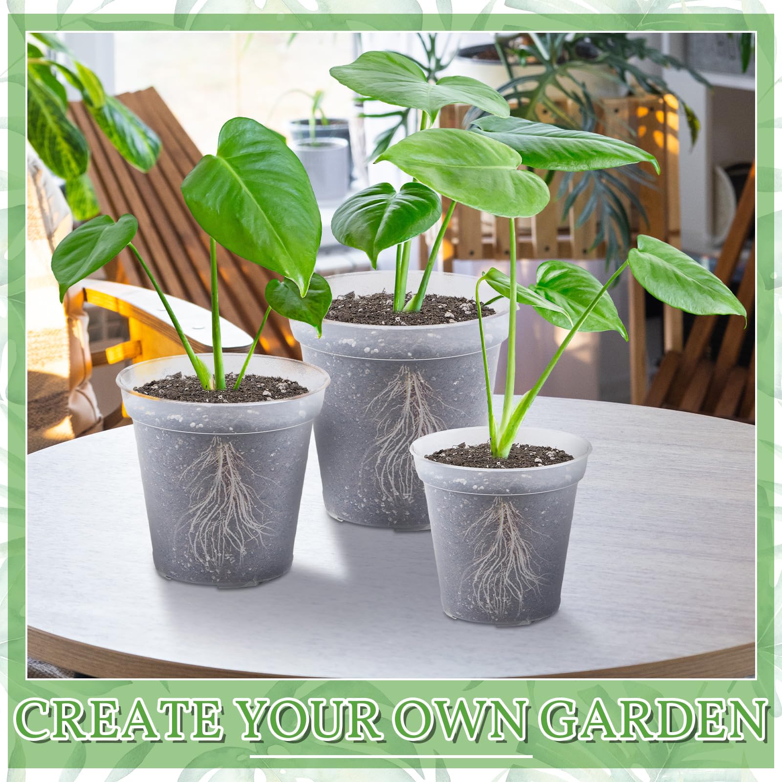 Vesici styled indoor display showing transparent pots enhancing decor