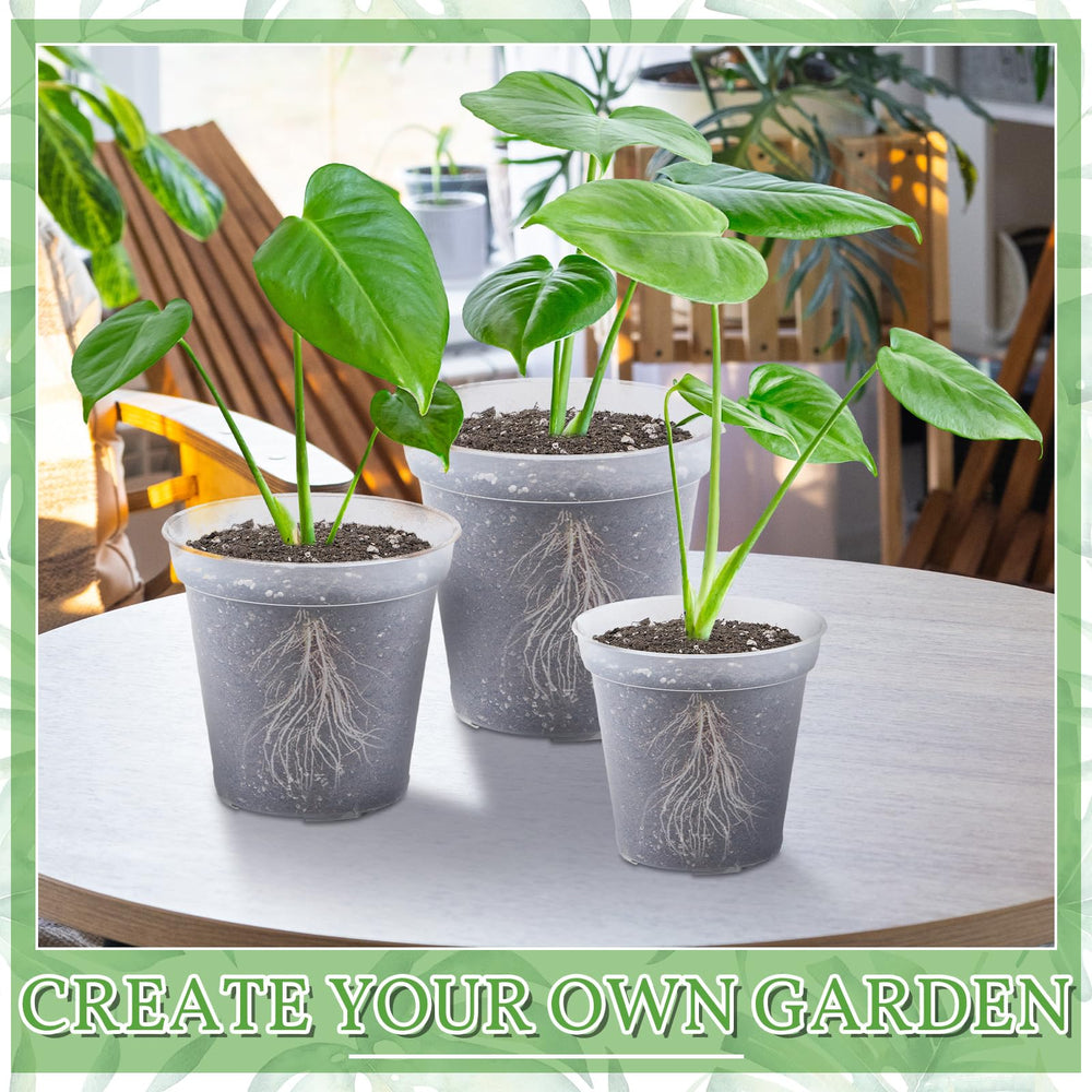 Vesici styled indoor display showing transparent pots enhancing decor