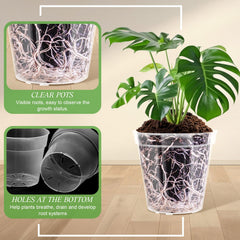 Vesici stacked display of all six sizes, demonstrating versatility for different plants