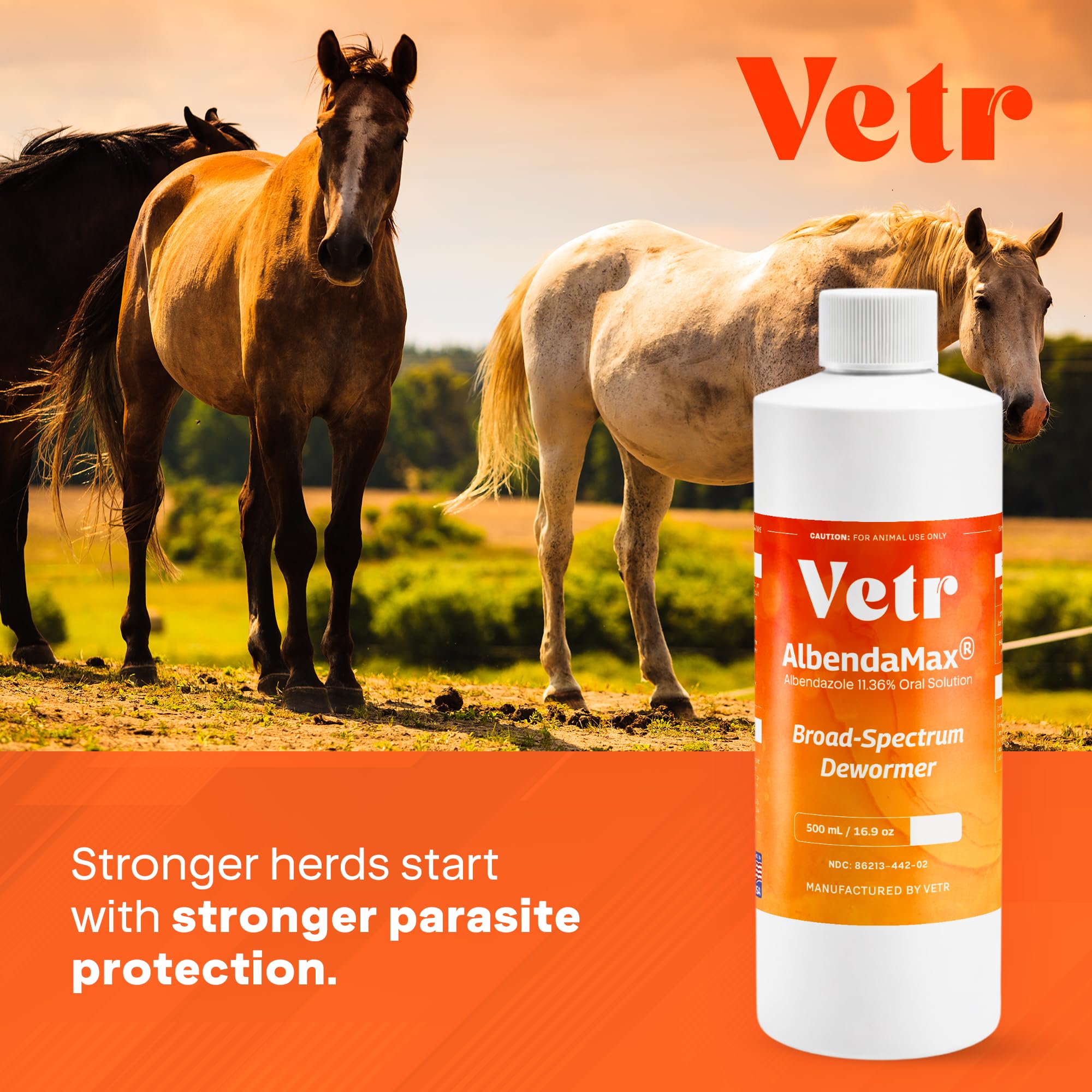 vetr AlbendaMax being administered to a goat on farm for efficient treatment
