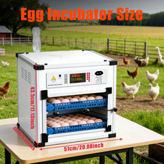 Vevitts close-up of automatic turner cradle, secures varied egg sizes for safe turning