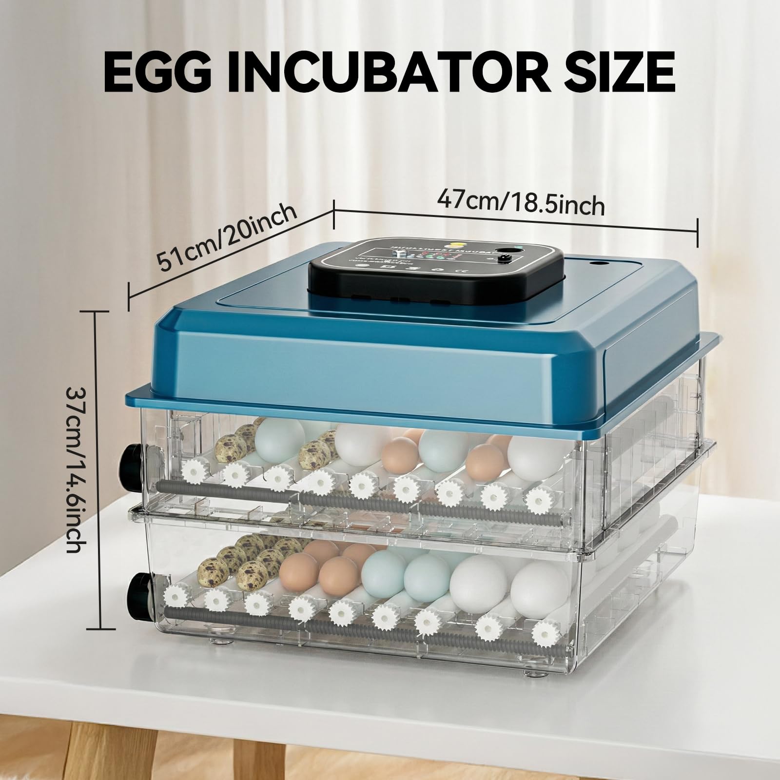 Vevitts adjustable roller tray demonstrating spacing flexibility and secure egg placement