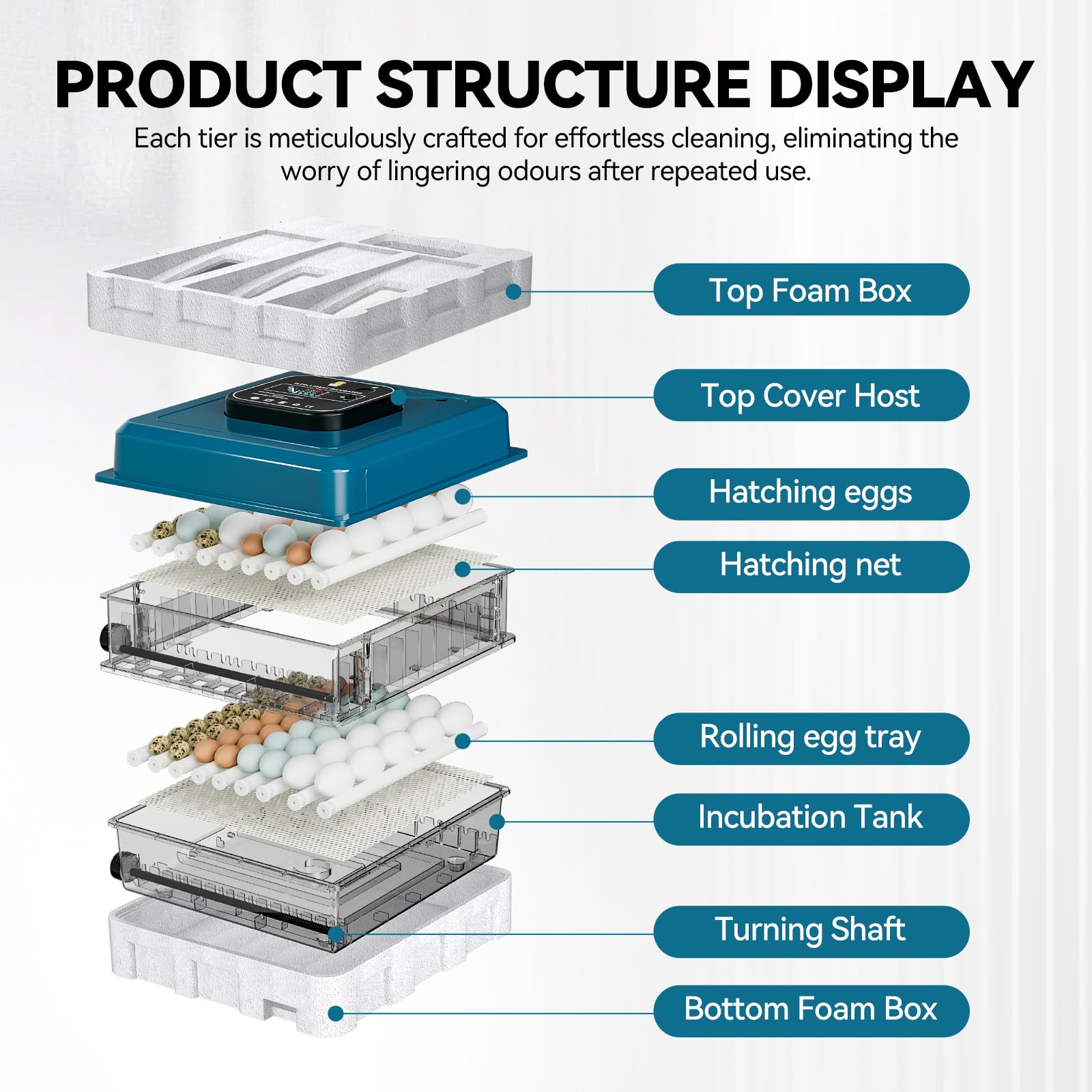 Vevitts incubator top view filled to capacity showing efficient two-tier organization