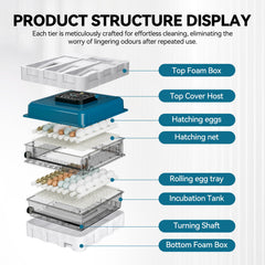 Vevitts incubator top view filled to capacity showing efficient two-tier organization