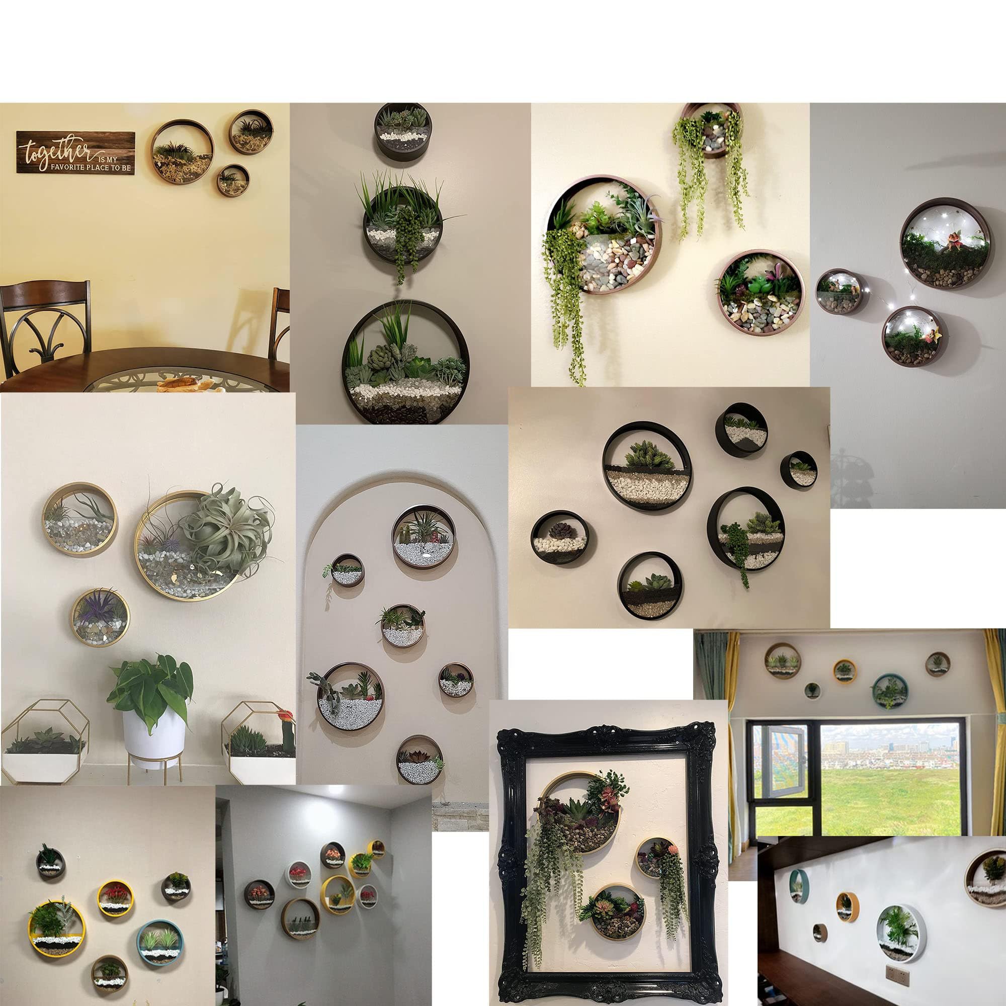 VEVLU succulent arrangement in glass bowl showing plant visibility and decorative layering benefit