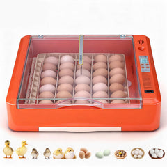 VEVOR front view showing incubator and clear lid for easy monitoring