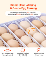 VEVOR automatic egg turning mechanism close-up ensuring balanced rotation and reduced handling