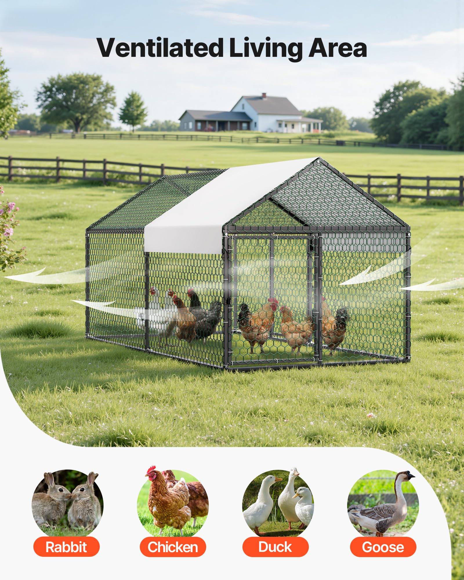 VEVOR coop interior with rabbit and duck showing multi-animal versatility