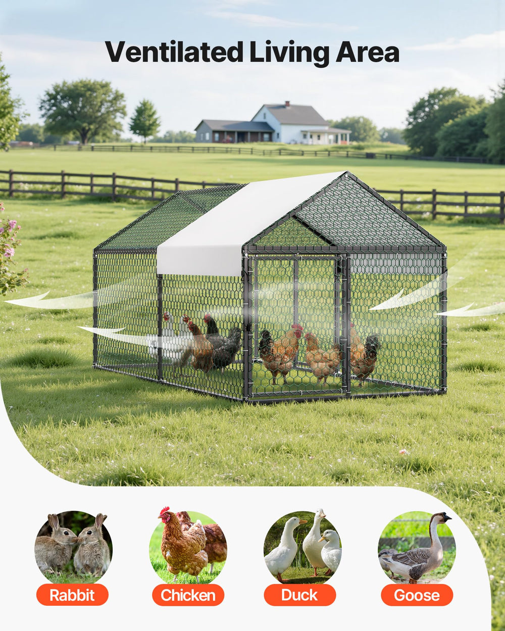 VEVOR coop interior with rabbit and duck showing multi-animal versatility