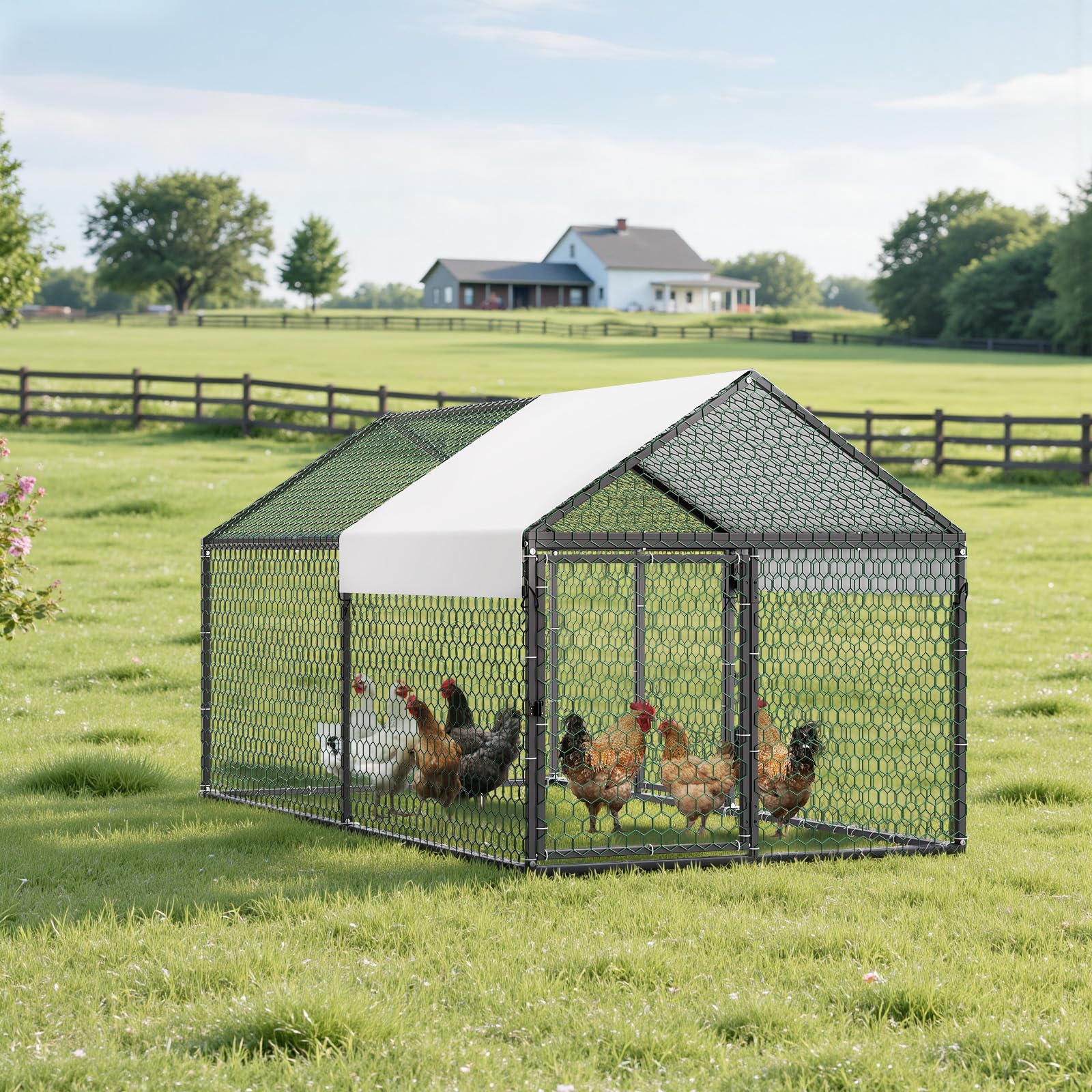 VEVOR coop beside person for scale showing compact footprint and practical size