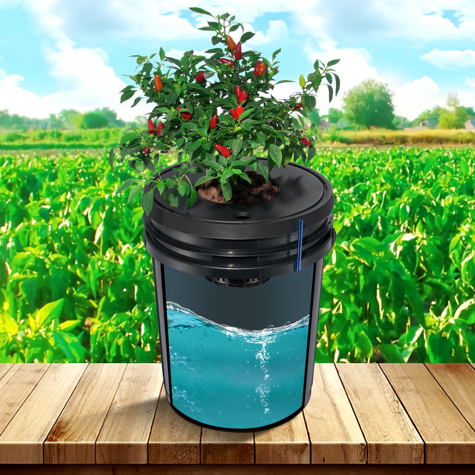 VEVOR bucket next to a ruler demonstrating the 5-gallon size and space planning