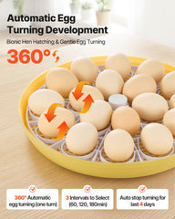 VEVOR close-up of eggs in tray highlighting secure positioning benefit