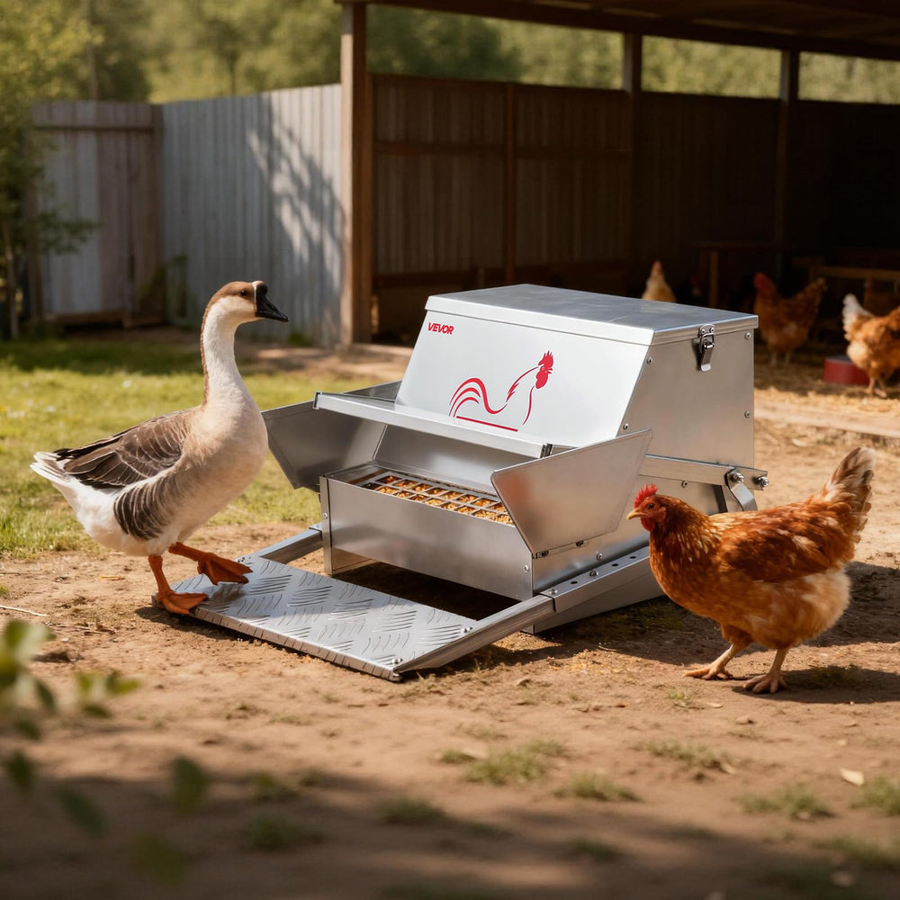 VEVOR feeder beside hen to show scale and appropriate bird access