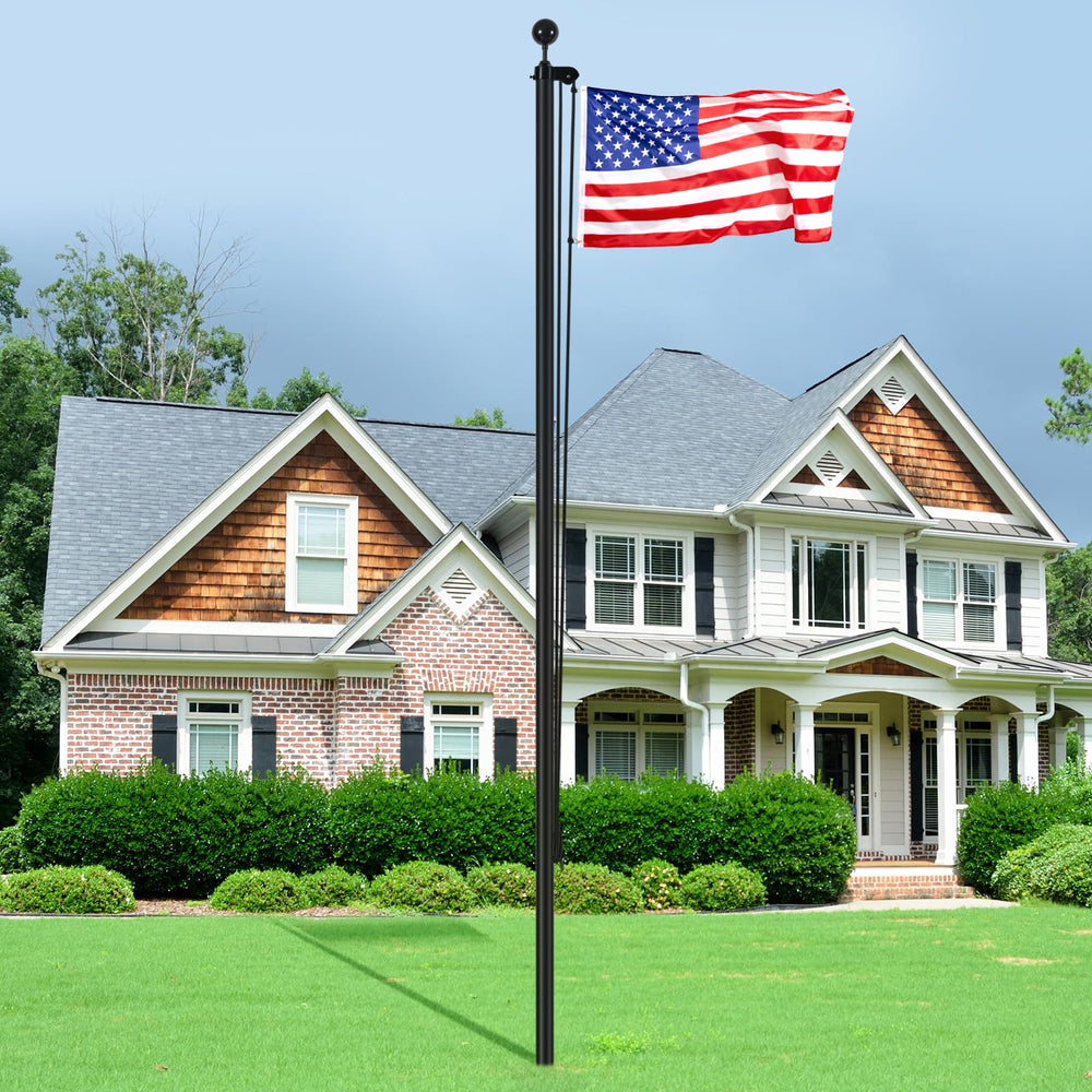 VEVOR flagpole beside person showing scale and manageable installation