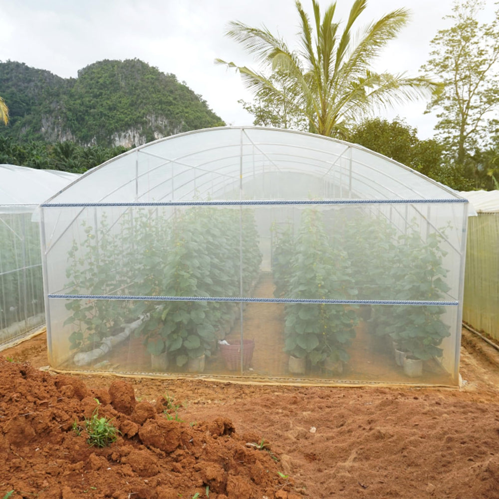 VEVOR greenhouse scene with installed channels protecting plants and improving microclimate