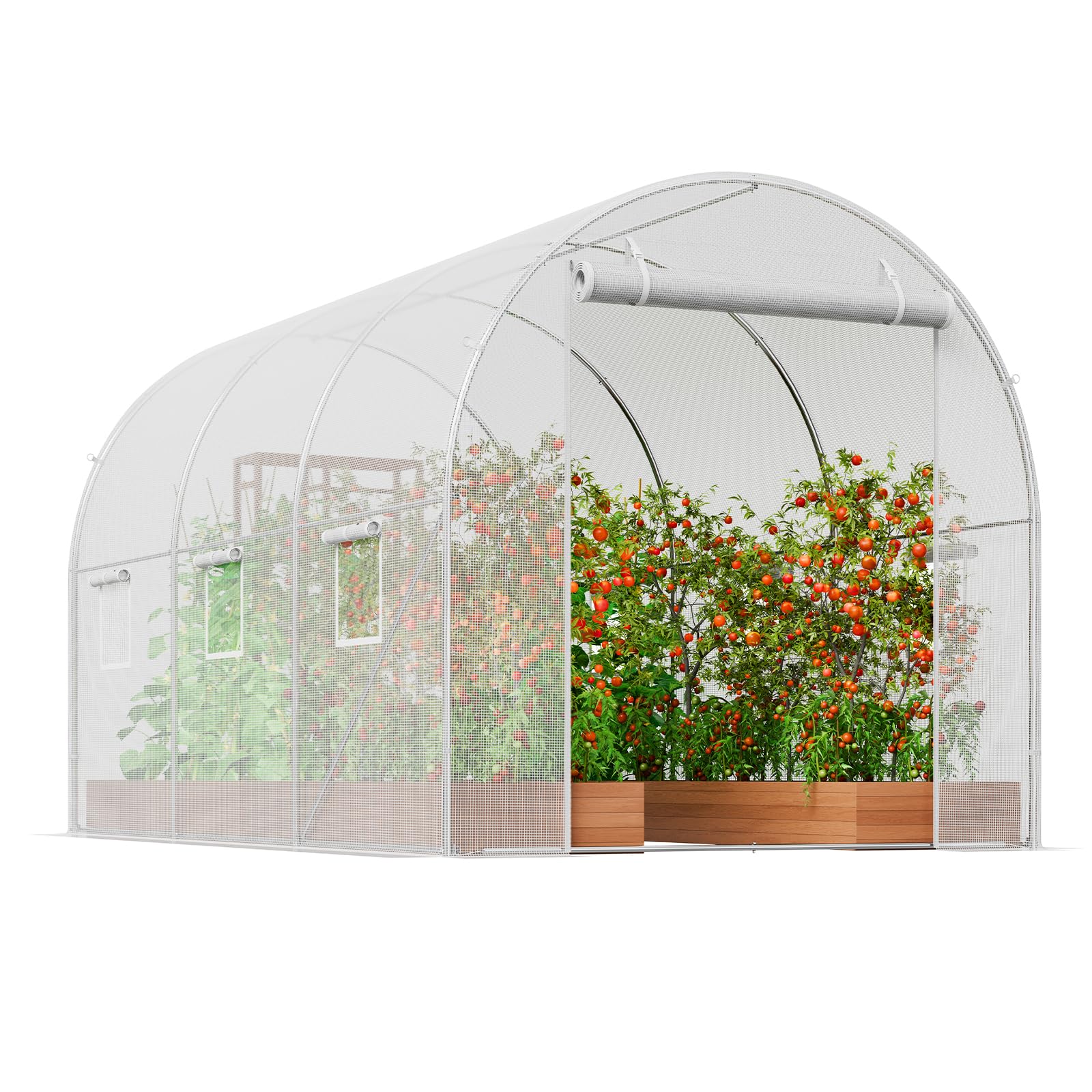 VEVOR greenhouse in backyard showing extended growing season benefit