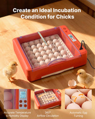 VEVOR clear 360° window revealing eggs and internal visibility benefit