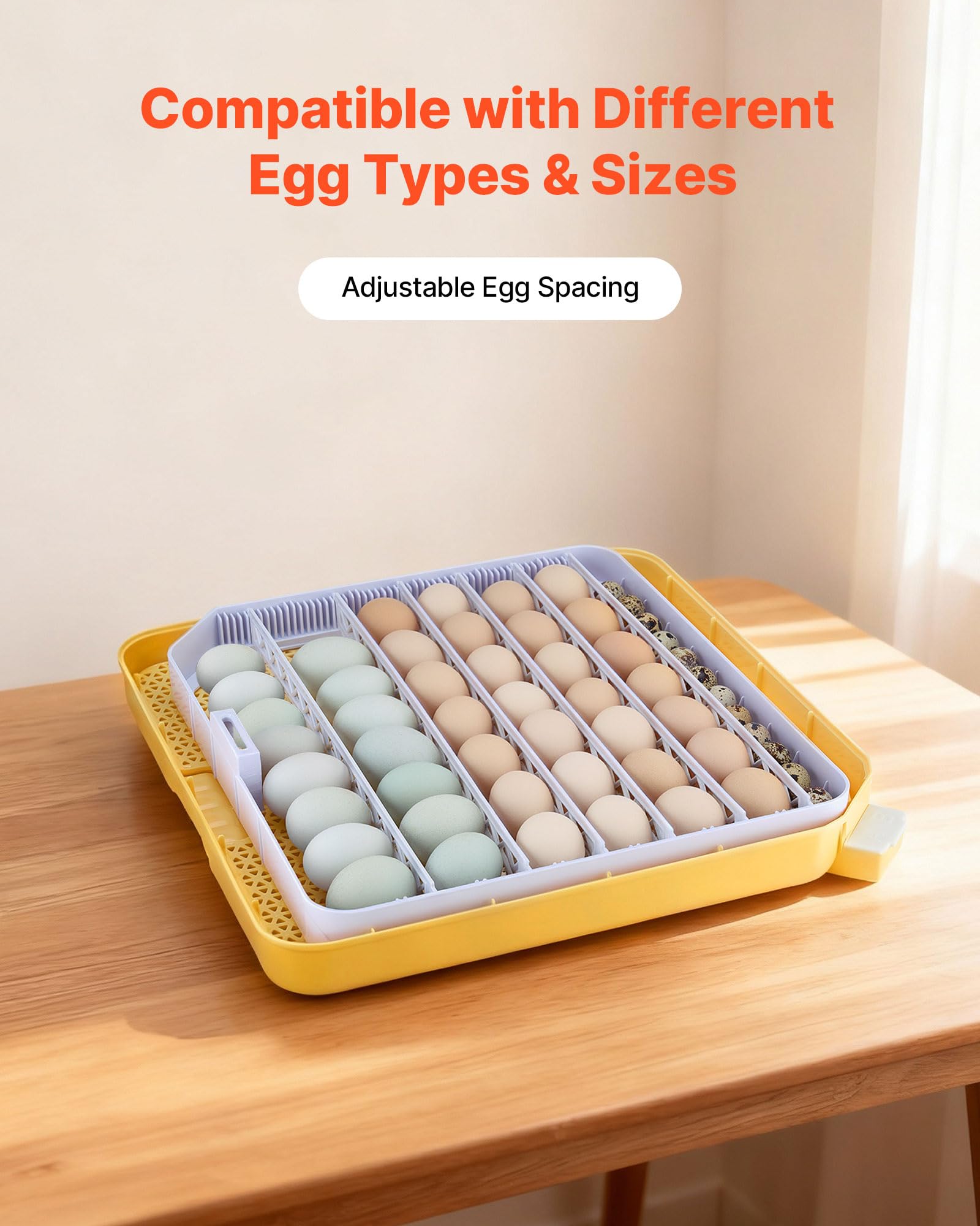 VEVOR egg tray filled with eggs to show capacity and organized spacing for even incubation