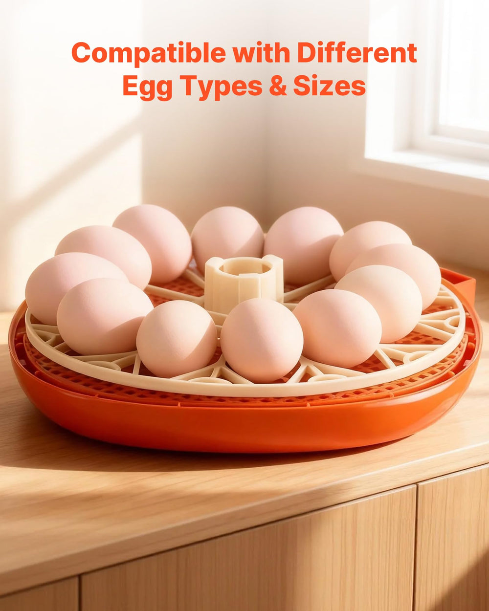 VEVOR incubator with eggs loaded in tray demonstrating typical hatching setup and capacity