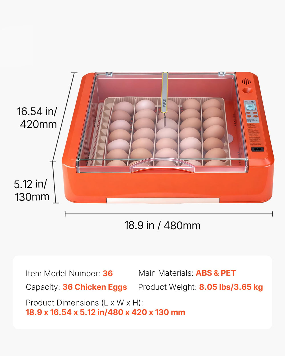 VEVOR incubator in use with chicken eggs demonstrating practical setup