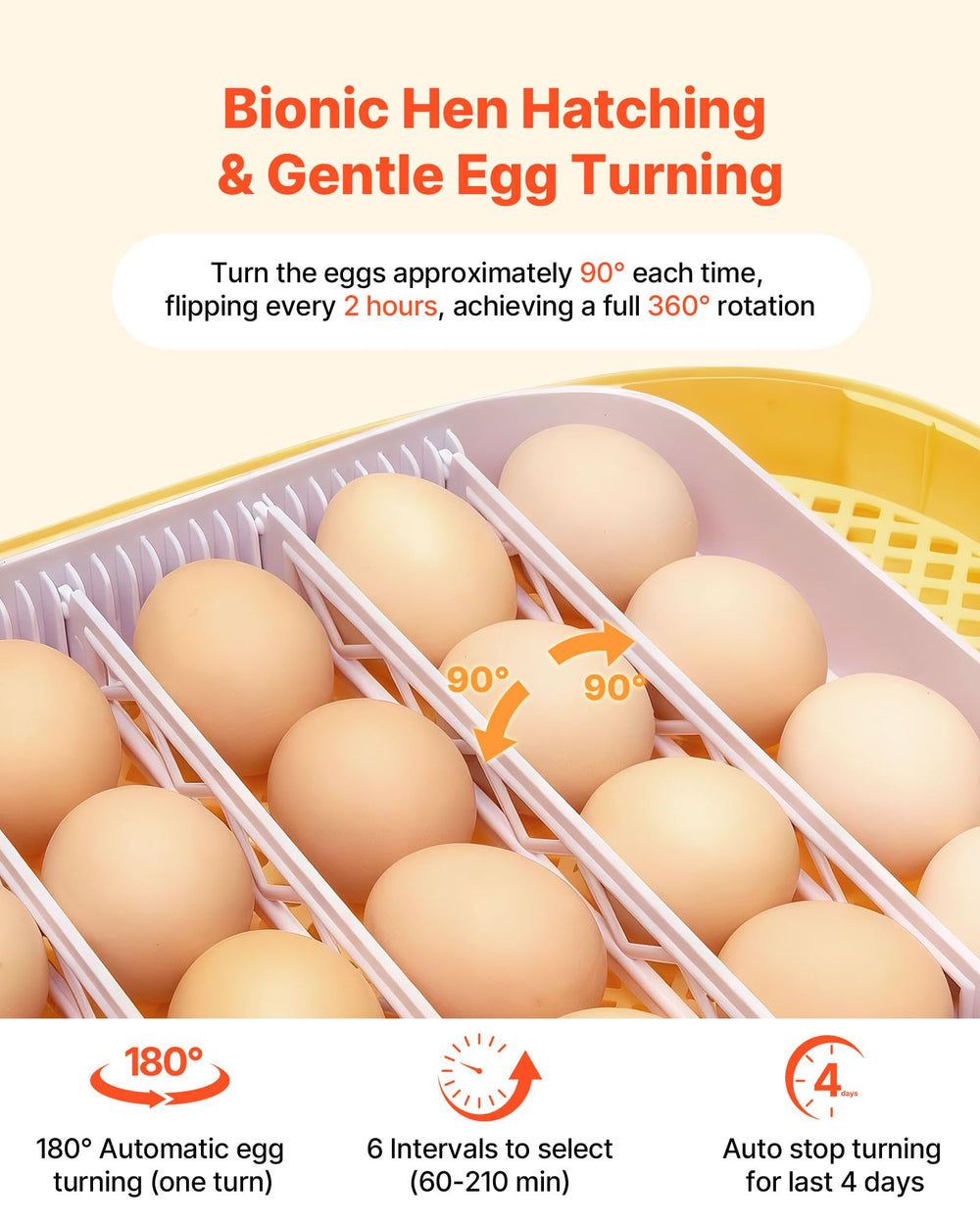 VEVOR incubator LED candler illumination revealing embryo outlines safely