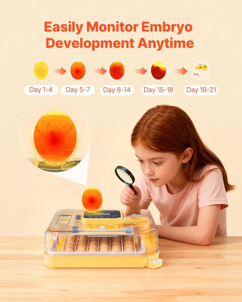 VEVOR LED candler and interior light illuminating eggs for candling and inspection convenience