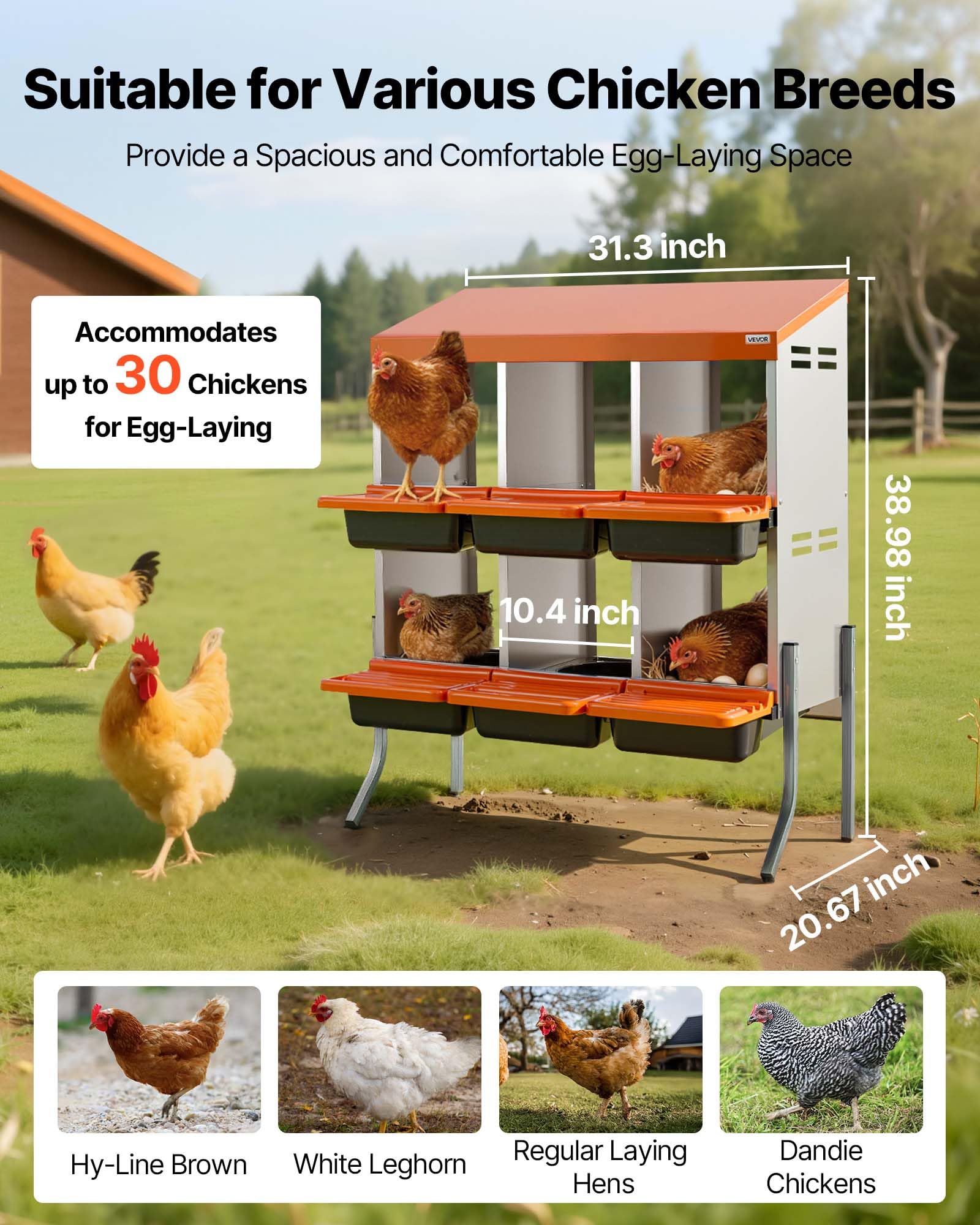 VEVOR close-up of angled plastic tray highlighting gentle egg roll feature
