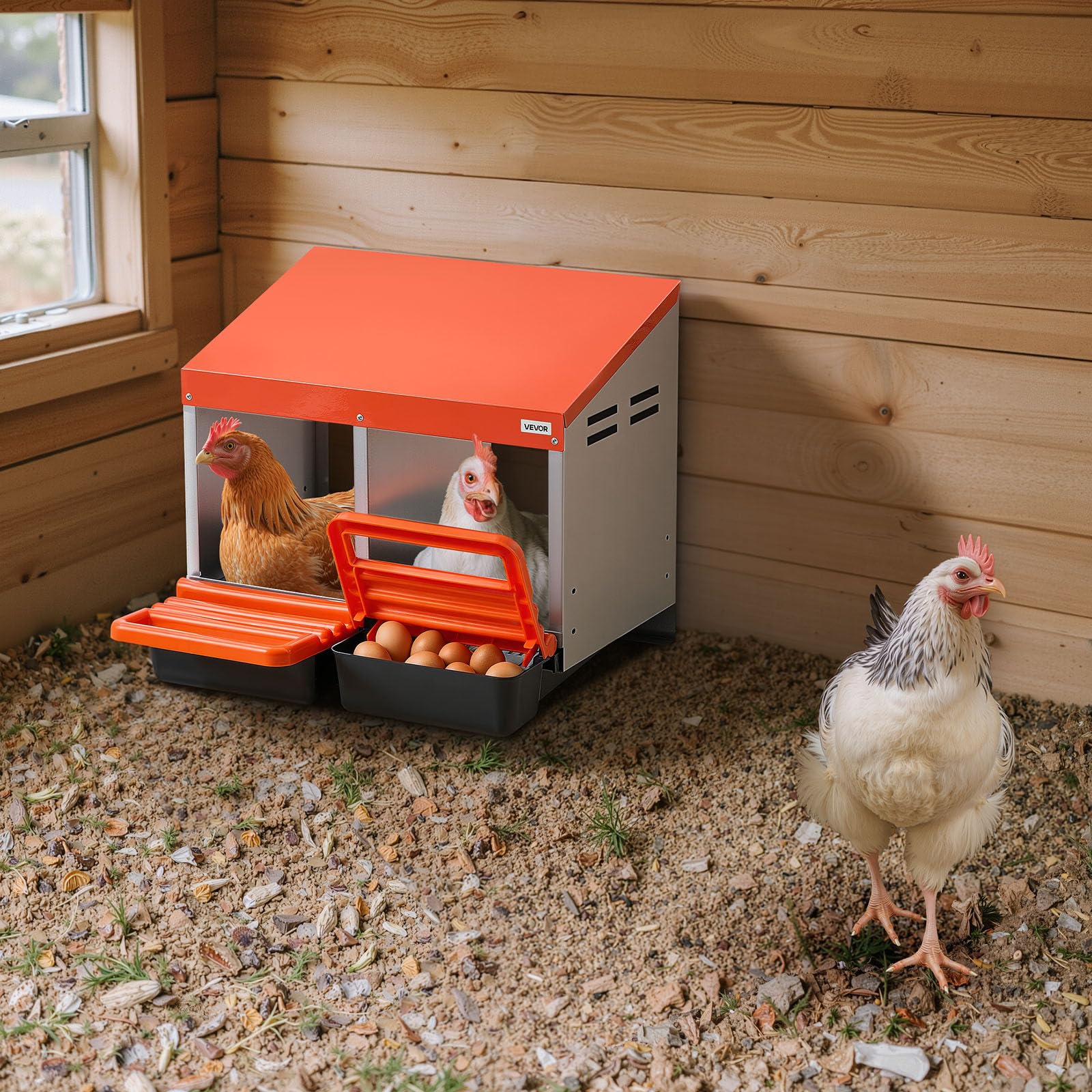 VEVOR next to a hen for scale showing compartment size and fit for breeds