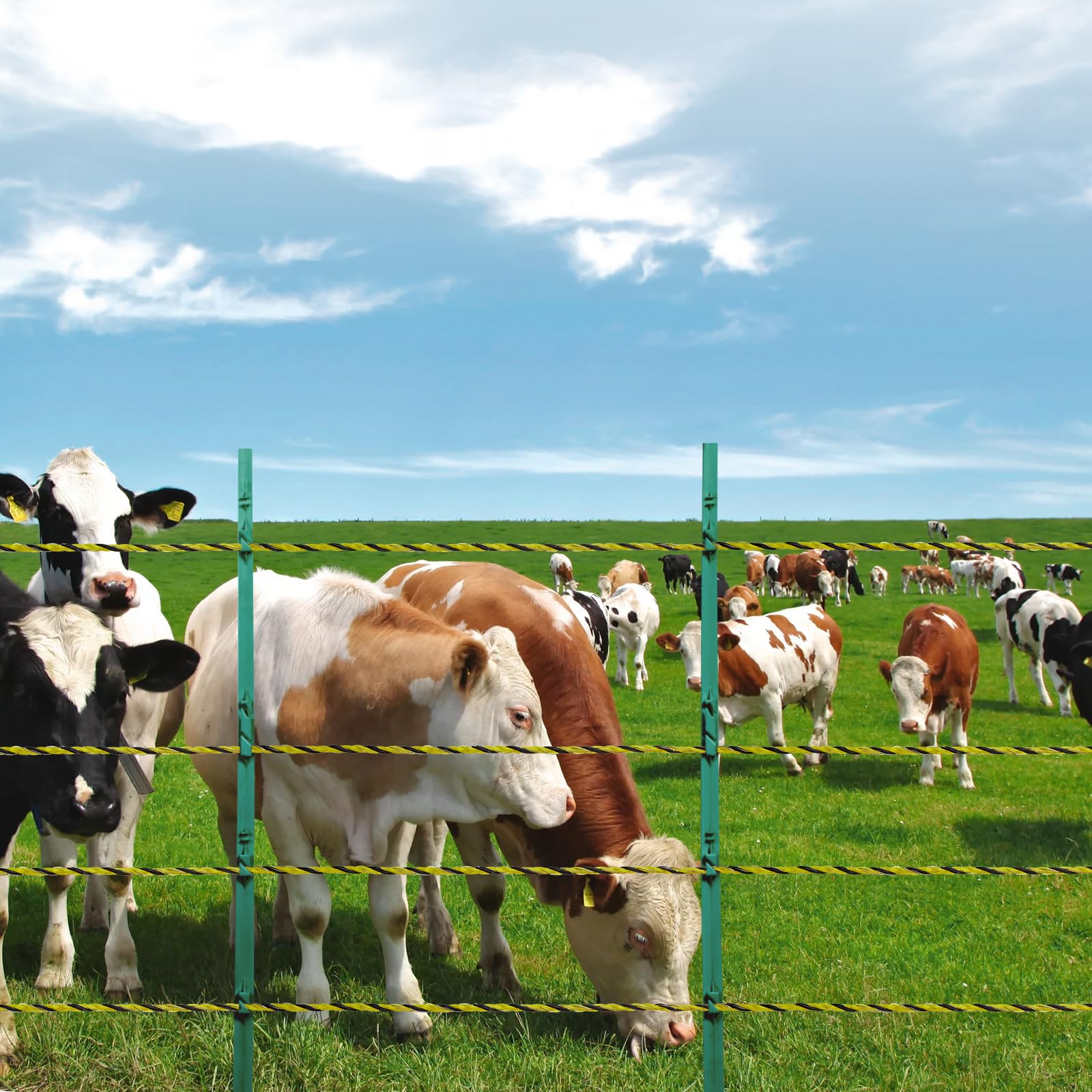 VEVOR reel unwinding across pasture, demonstrates easy setup and storage