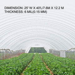 VEVOR greenhouse sheeting installed on hoop greenhouse showing light transmission benefit