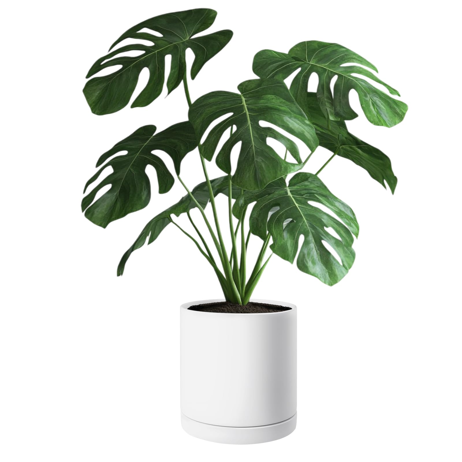 VEVOR pot next to ruler illustrating 12-inch scale for sizing confidence