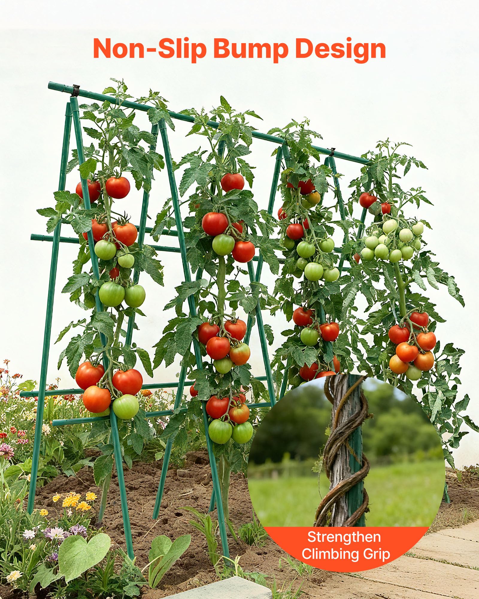 VEVOR stakes supporting a tomato plant for upright growth and fruiting