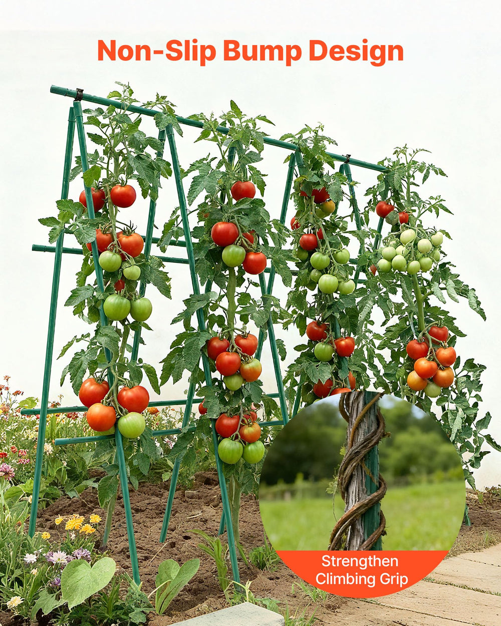 VEVOR stakes supporting a tomato plant for upright growth and fruiting