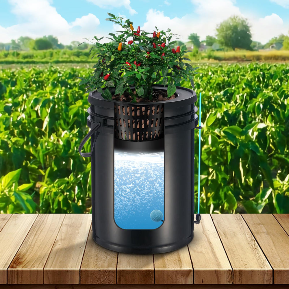 VEVOR hydroponic system in use with lettuce demonstrating compact indoor cultivation benefits