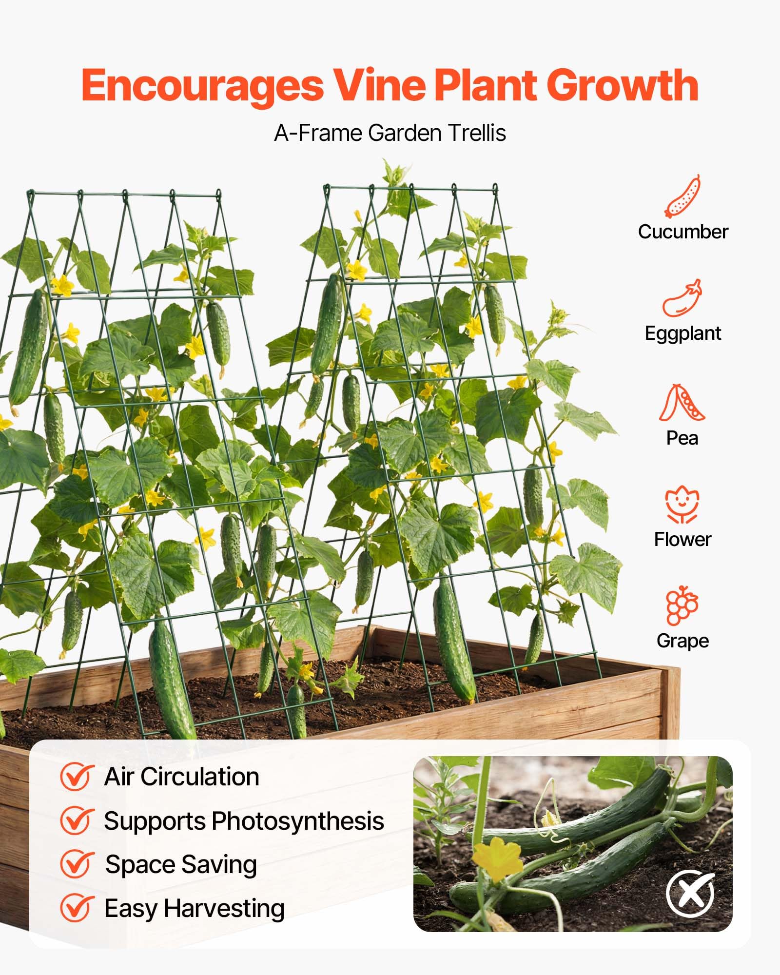 VEVOR trellis installed in raised bed providing stable plant support