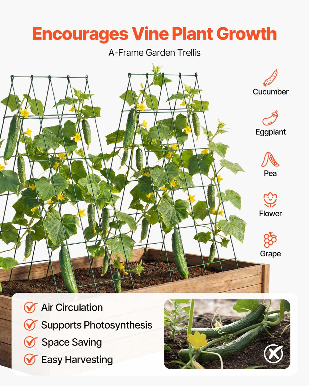 VEVOR trellis installed in raised bed providing stable plant support
