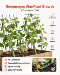 VEVOR trellis installed in raised bed providing stable plant support