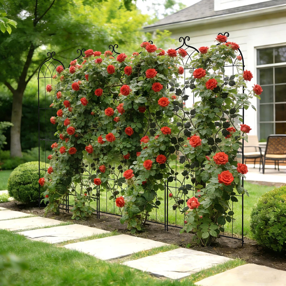VEVOR trellis with tomatoes and vines trained upward for harvest ease