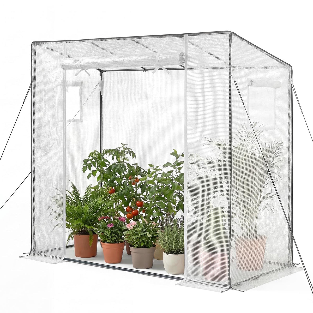 VEVOR walk-in greenhouse front view showing entrance and structure benefit