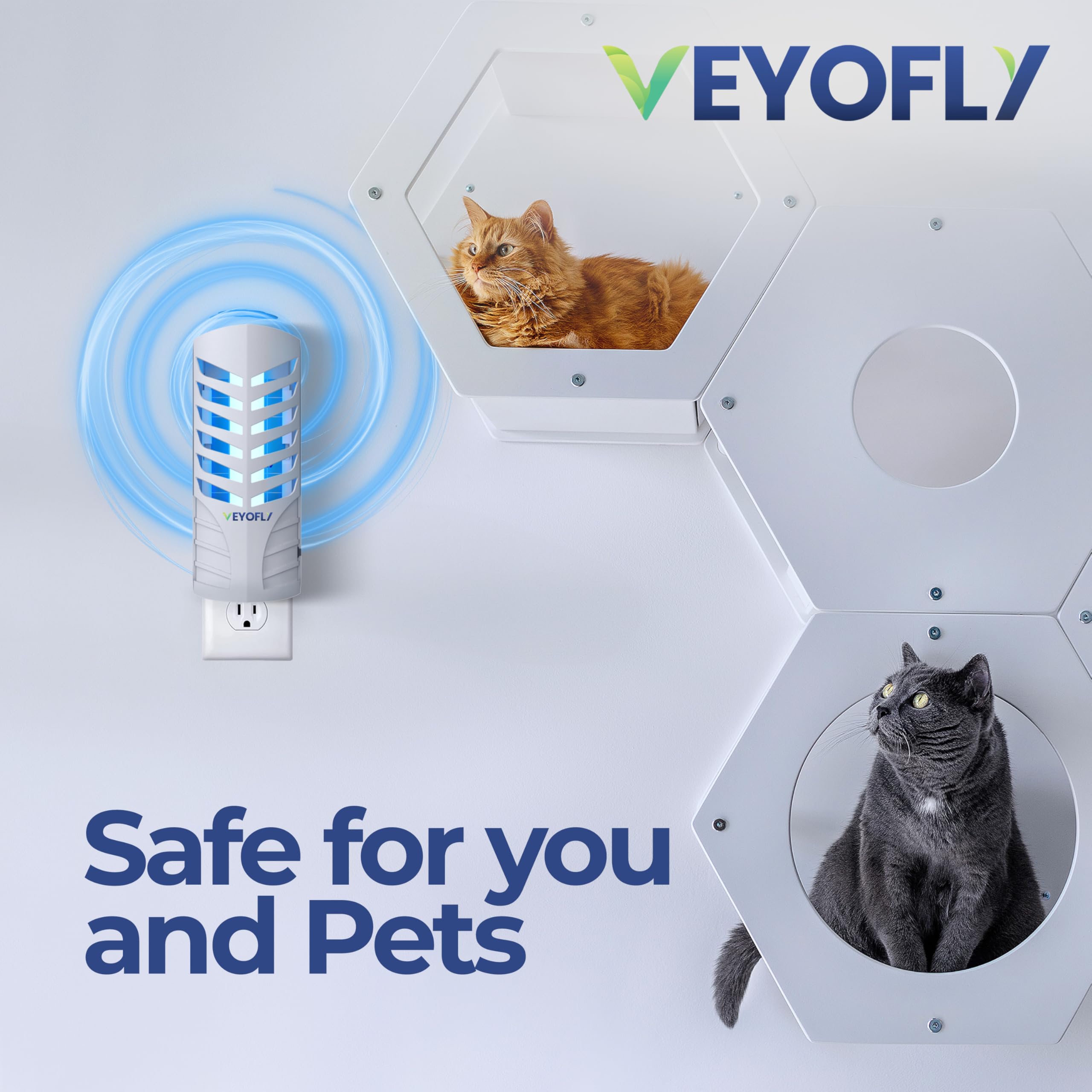 VEYOFLY adhesive card covered with trapped fruit flies showing effective capture