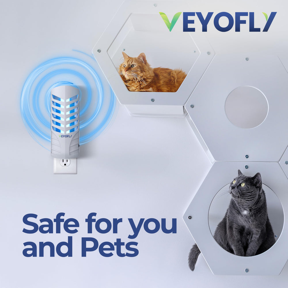 VEYOFLY adhesive card covered with trapped fruit flies showing effective capture