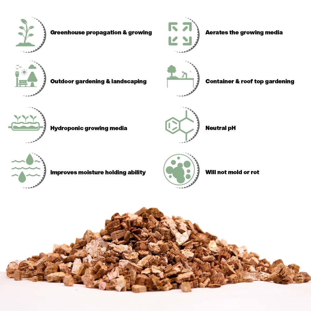 Viagrow used in seed-starting tray supporting healthy germination and root growth